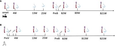 Comparison of the mucosal and systemic antibody responses in Covid-19 recovered patients with one dose of mRNA vaccine and unexposed subjects with three doses of mRNA vaccines